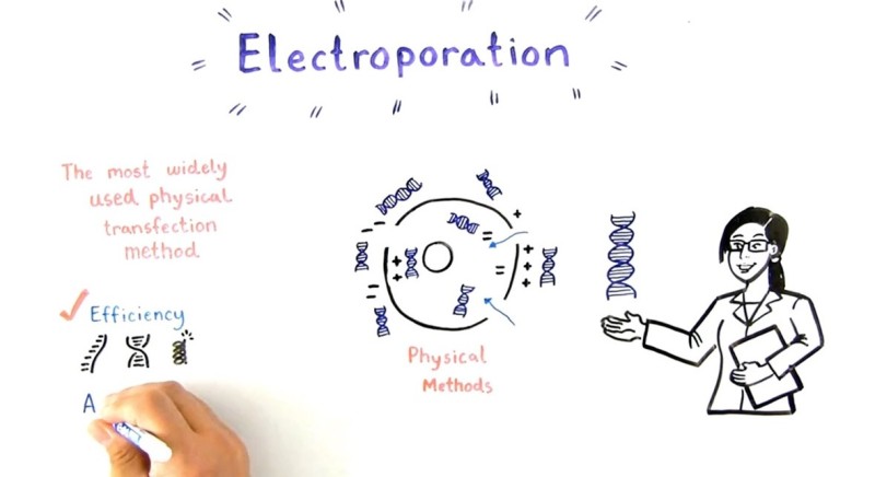Making Science Accessible: How Animation Simplifies Complexity [VIDEO]